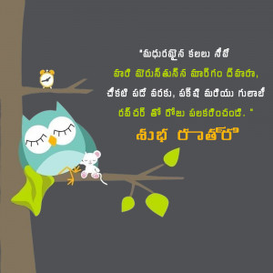 Cartoon owl and mouse wishing good night in Telugu script