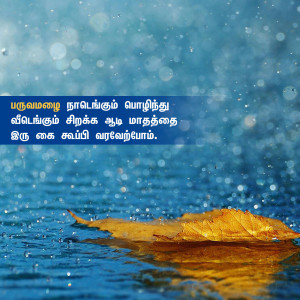 A single leaf floating on water during a rainstorm with Tamil text overlay.