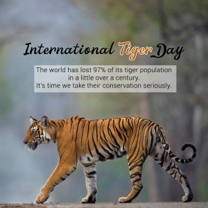 Image promoting International Tiger Day with a tiger and conservation message.