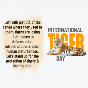 Image promoting International Tiger Day with a tiger and text about habitat loss.
