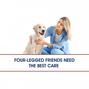 A smiling woman hugging a golden retriever dog.