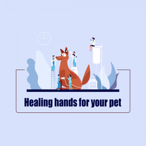 Illustration of veterinarians examining a fox, representing pet healthcare.