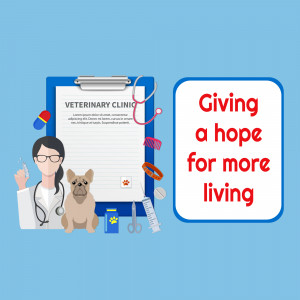 Illustration of a veterinarian with a dog, medical tools, and a clipboard with the text 'Veterinary Clinic'.