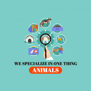 Illustration depicting various veterinary services and animal care.
