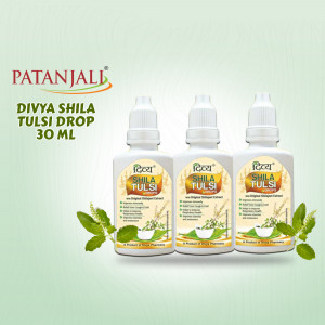 Three bottles of Patanjali Divya Shila Tulsi Drops with Tulsi leaves