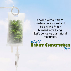 An IV drip bag filled with greenery representing the vital role of nature for human survival.