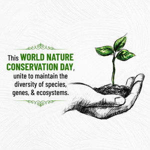 Hands holding a seedling with text 'World Nature Conservation Day'