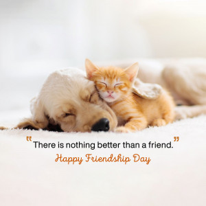 A golden retriever puppy and an orange tabby kitten sleeping together, celebrating friendship.