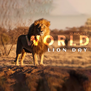 A majestic lion with the text 'World Lion Day' superimposed on the image.