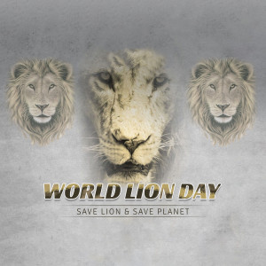 Three lion faces with World Lion Day text