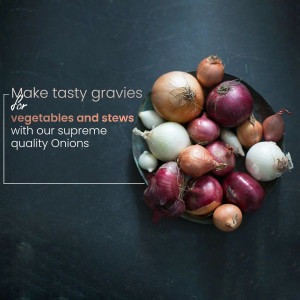 Overhead shot of various onions on a dark surface with text promoting their use in gravies, vegetables, and stews.