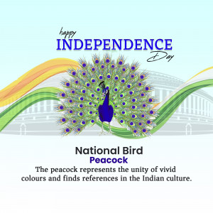 Independence Day greeting with a peacock and Indian flag colors