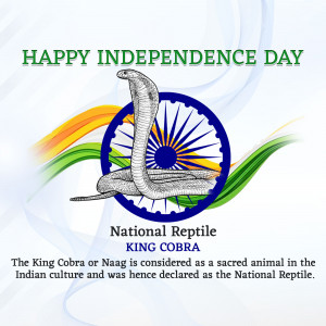 Image depicting Happy Independence Day with a King Cobra and the Indian flag