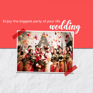 Group photo of a wedding party with rose petals falling