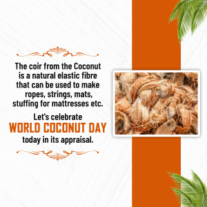 Image celebrating World Coconut Day with a focus on coir fibre and its uses.