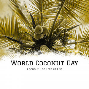 Close-up of coconuts on a palm tree with text 'World Coconut Day'