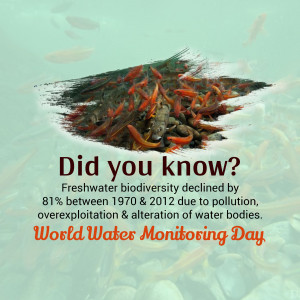Image showing fish swimming through a shape representing a leaf with text about freshwater biodiversity decline.