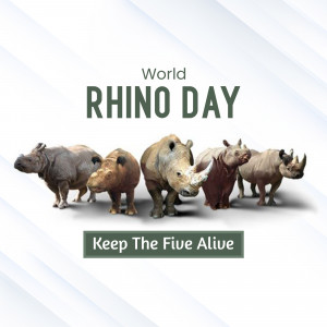 Collage of five different rhino species for World Rhino Day