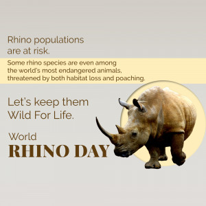 Image depicting a rhino with text highlighting the risk to rhino populations and promoting World Rhino Day.