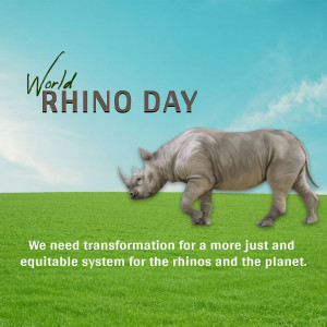Rhino walking on green grass with World Rhino Day text