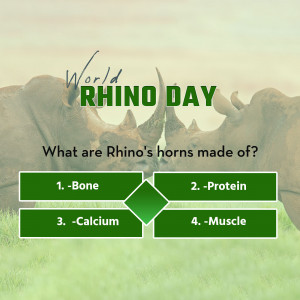 Image promoting World Rhino Day with a quiz about rhino horns