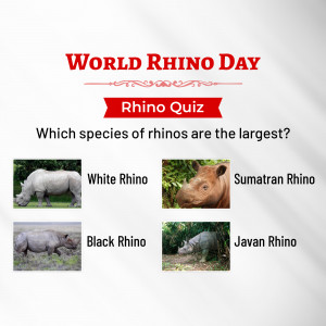 World Rhino Day quiz with images of different rhino species