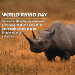 A close-up of a rhino in a field with text commemorating World Rhino Day.