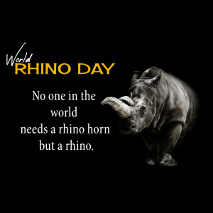Image promoting World Rhino Day with a rhino and conservation message.