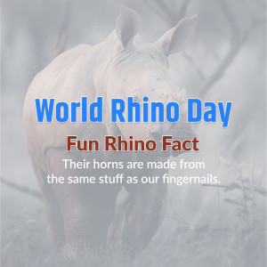 Image commemorating World Rhino Day with a rhino and a fun fact about their horns.