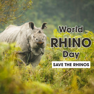 A majestic rhinoceros with text overlay celebrating World Rhino Day and a call to save the rhinos.