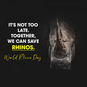 Close-up of a rhino with text promoting World Rhino Day and rhino conservation.