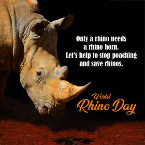 Close-up of a rhino with text advocating for rhino conservation.