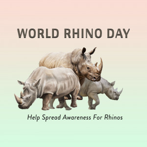 Image depicting three rhinos with text 'World Rhino Day - Help Spread Awareness For Rhinos'