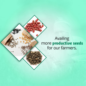Various types of seeds with text 'Availing more productive seeds for our farmers'