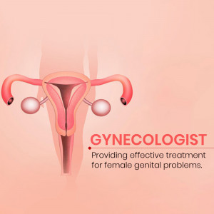 Illustration of the female reproductive system with text 'Gynecologist'