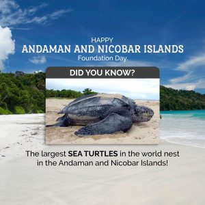 Image commemorating Andaman and Nicobar Islands Foundation Day with a sea turtle.