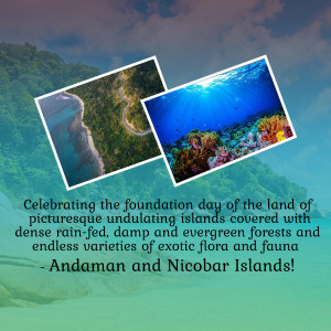 Collage of Andaman and Nicobar Islands landscapes - beach, rainforest, and coral reef