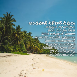 Scenic beach view with palm trees and turquoise water in the Andaman and Nicobar Islands.