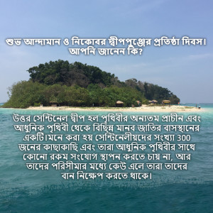 Scenic view of an island in the Andaman and Nicobar Islands with turquoise water and lush greenery.