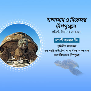 Image of an Aldabra giant tortoise with text in Bengali about its habitat and conservation.