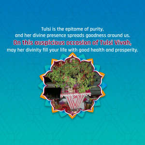Image depicting a Tulsi plant decorated for Tulsi Vivah, with a festive message.