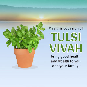 Tulsi plant in a pot with a festive greeting for Tulsi Vivah