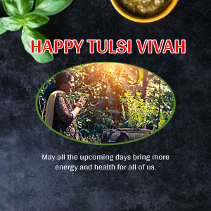 Image depicting Happy Tulsi Vivah with a woman praying near a Tulsi plant.