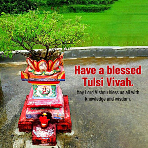 Decorated Tulsi plant altar with a blessing message for Tulsi Vivah