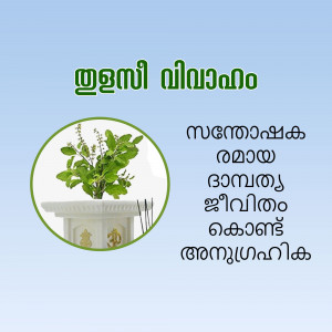 Image of a Tulsi plant in a pot with Malayalam text related to Ayurvedic medicine.