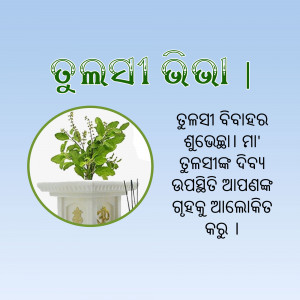 Image of a Tulsi plant in a pot with accompanying text in an Indian language.