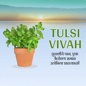 Tulsi plant in a pot with a sunset background and text 'Tulsi Vivah'