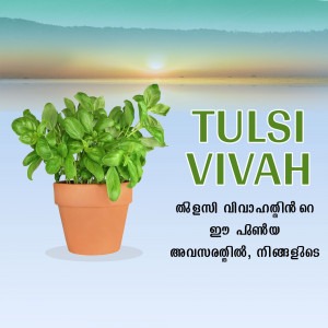Image of a Tulsi plant in a pot with text 'Tulsi Vivah' and Malayalam script.