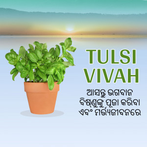 Image of a Tulsi plant in a pot with text 'Tulsi Vivah'
