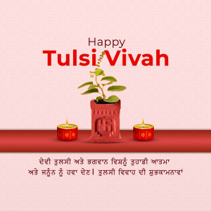 Tulsi plant in a pot with lit candles for Tulsi Vivah celebration